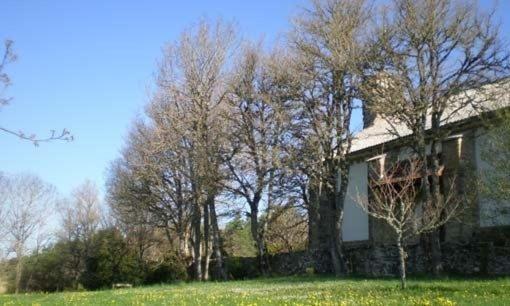 Hostal Casa Sario Jaurrieta エクステリア 写真